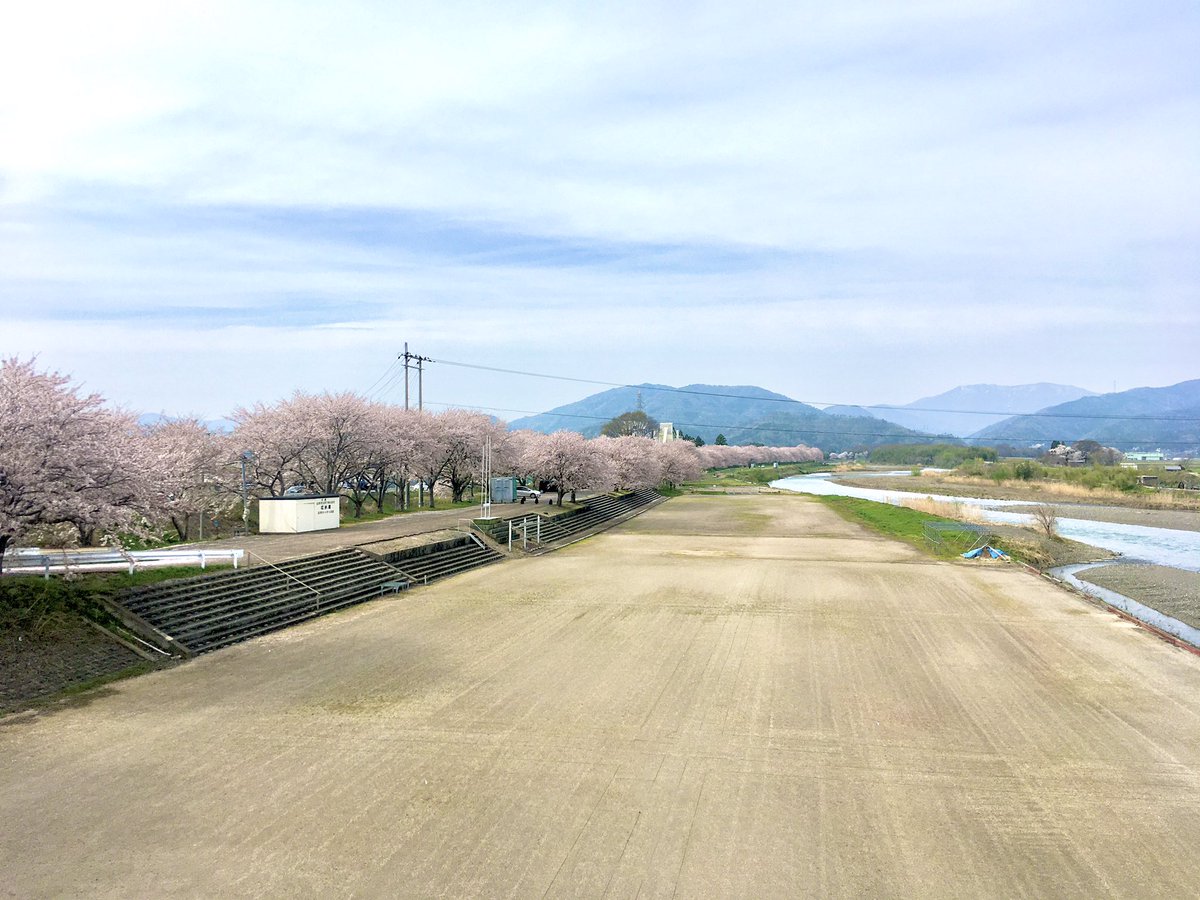 hamakogetsu_'s tweet photo. #高時川
#桜
ずっとずっと続く桜並木

#長浜　#浜湖月　#温泉　#旅館　#滋賀 https://t.co/3yG1hakefl