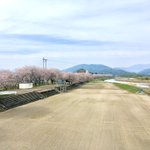 浜湖月のツイート画像