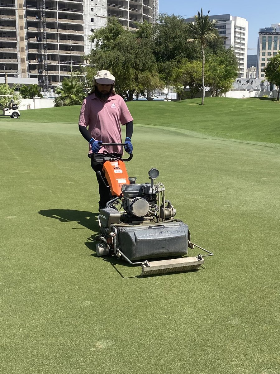 golf_wells's tweet photo. Maintenance Monday at @DubaiCreekGolf Freaky Verti-Cut -2mm in two directions followed but a freaky cut with bushes down @ 2.3mm. Approximately 6.5 tons p/Ha of silica sand applied to the surface and brushed into the crown. https://t.co/i3L0IGCsSr