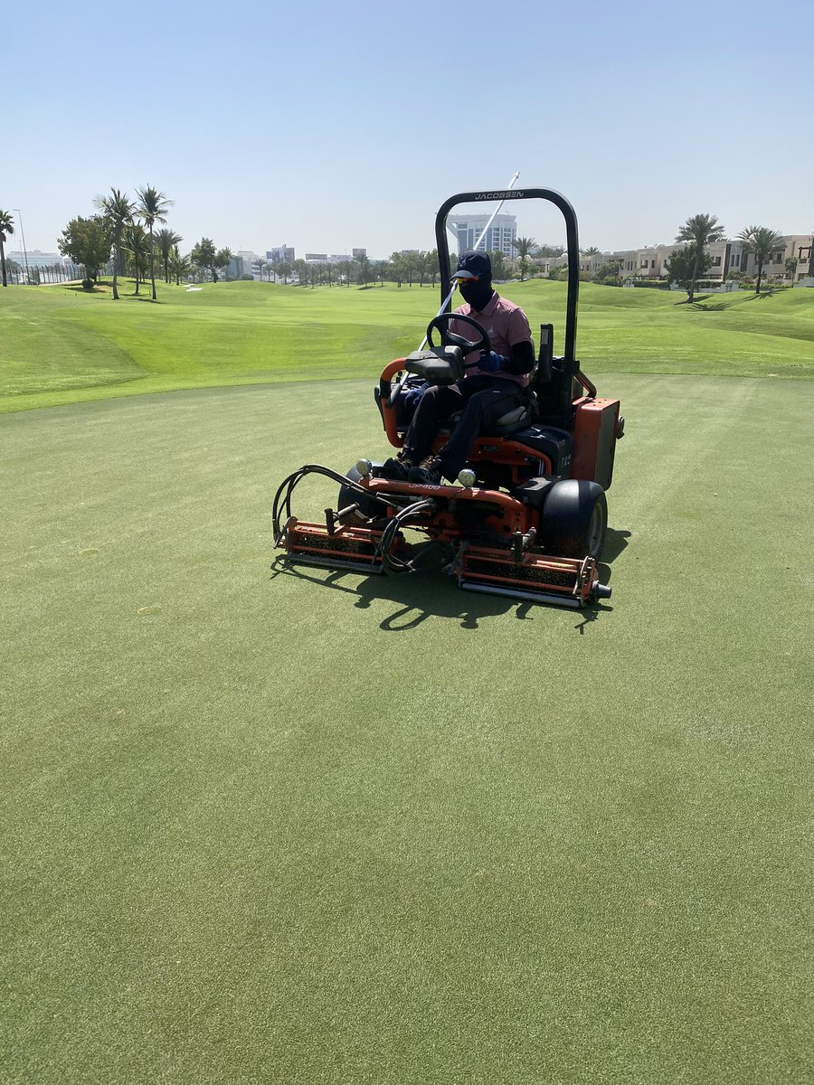 golf_wells's tweet photo. Maintenance Monday at @DubaiCreekGolf Freaky Verti-Cut -2mm in two directions followed but a freaky cut with bushes down @ 2.3mm. Approximately 6.5 tons p/Ha of silica sand applied to the surface and brushed into the crown. https://t.co/i3L0IGCsSr