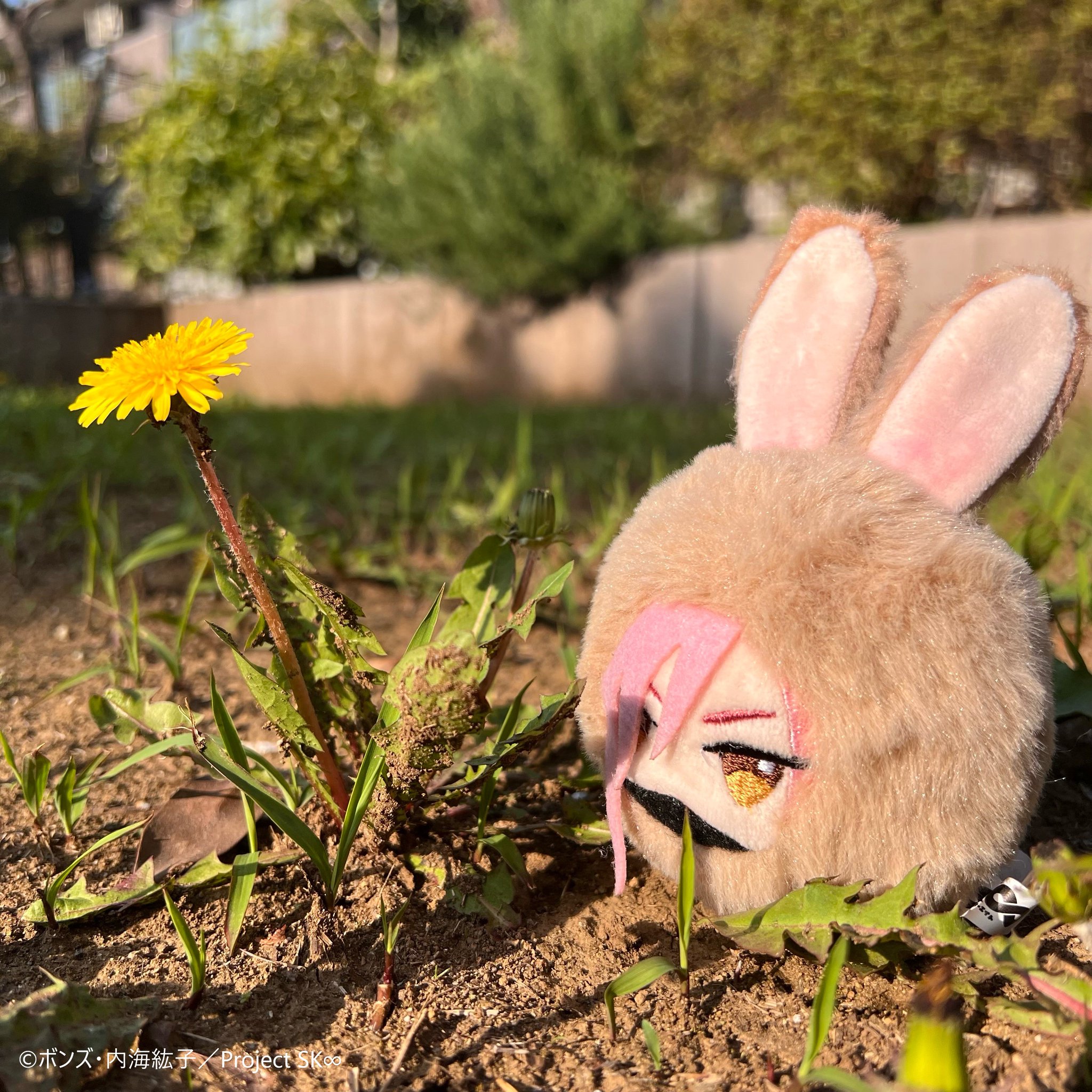 SK∞ DOPE SKETCH mini STORE on Twitter "【まんまるアニマルマスコット Cherry blossom🐾