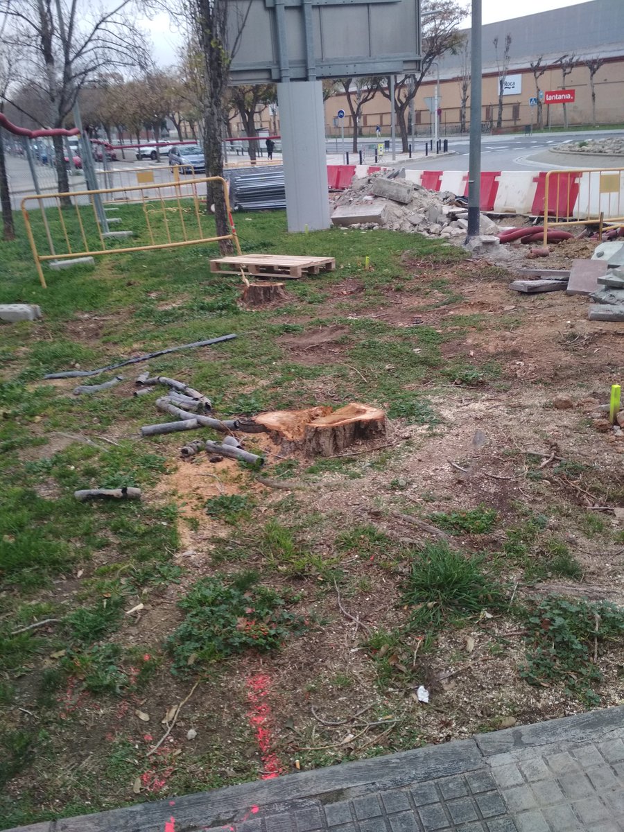 Birradegossos's tweet photo. #Viladecans #Soca #Soques #PscStyle #PactePelClima #PetjadaEcologica #Agenda2030 #EmoSioEngañao https://t.co/Zo7rinBSO0
