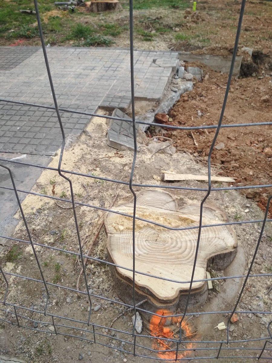 Birradegossos's tweet photo. #Viladecans #Soca #Soques #PscStyle #PactePelClima #PetjadaEcologica #Agenda2030 #EmoSioEngañao https://t.co/Zo7rinBSO0