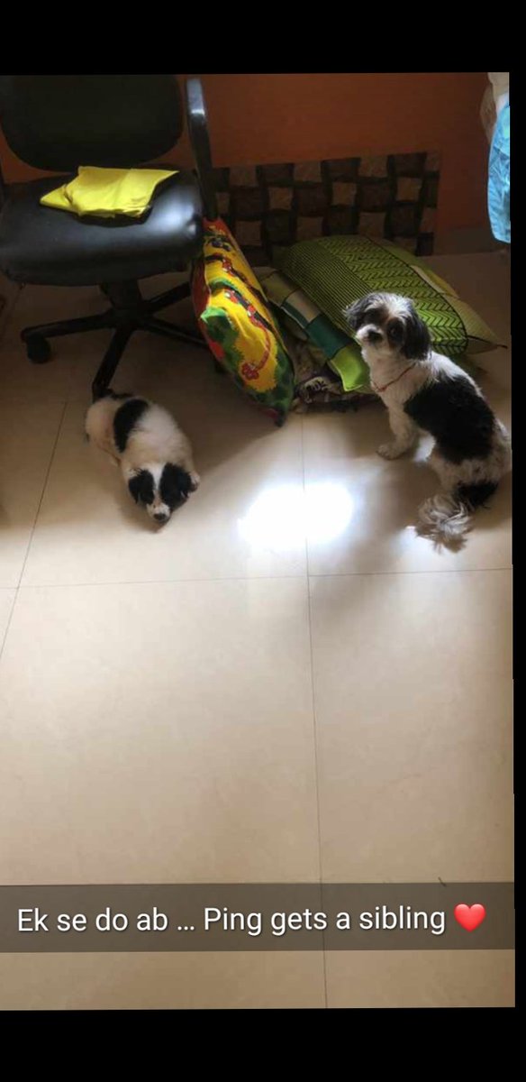 Ayush5455's tweet photo. @chch_71 @JeremyCom Thats now eith me 🤪❤❤❤ https://t.co/xJ74nsrgSC