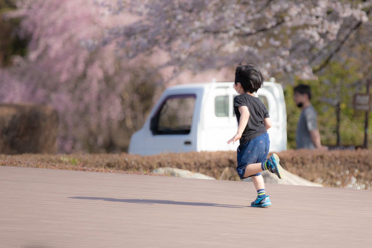 dadand_rs's tweet photo. 新学期も頑張ると張り切ってます🏃‍♂️
#子供
#桜 
#さくら  　
#eos80d
#Tamron70200
#写真好きな人と繋がりたい https://t.co/kIgKbedmom