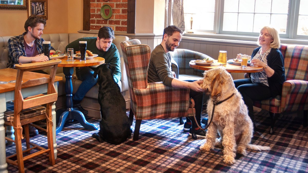 ThisisDurham's tweet photo. Happy National Pet Day! ๐ ๐ฉ From dog-friendly walks and beautiful beaches, to pet-friendly accommodation and attractions, there's loads of ways to spoil your favourite pooch in Durham ๐พ https://t.co/x69qodwZvq #LoveDurham #DogsinDurham #dogfriendlybreaks https://t.co/MsrE9cvc8T