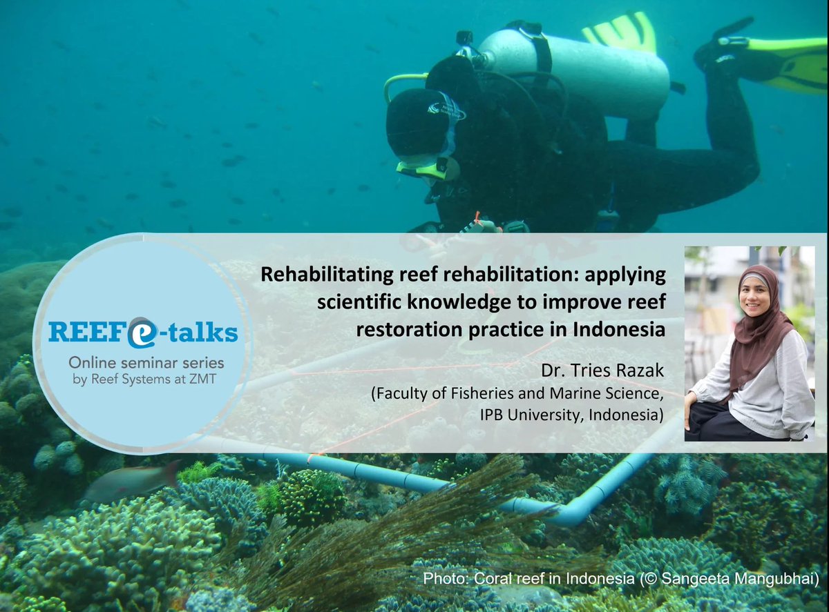 It’s Reef e-Talk time in April! 🌺 join us to hear from the great Dr Tries Razak how Indonesia is improving #coral #reef restoration practices! Register here: us02web.zoom.us/meeting/regist… for this online seminar on April 20th at 9am CET