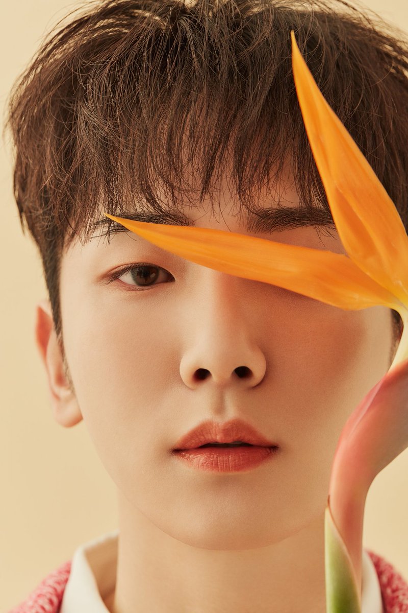 espoir_story's tweet photo. 𝗗-𝟮

새롭게 선보이는 맑고 산뜻한 워터 텍스처,
봄을 담은 컬러의 NEW 비건 틴트.

에스쁘아 꾸뛰르 립 틴트 워터리 샤인,
KEY 의 새로운 화보와 함께 곧 만나요!

*4/13 11번가 선런칭 예정

#espoirmakeup #에스쁘아 #KEY #키 #물스밈틴트 #봄웜틴트 #야미차이 #써니애프리콧 https://t.co/4DCpLCSLMf