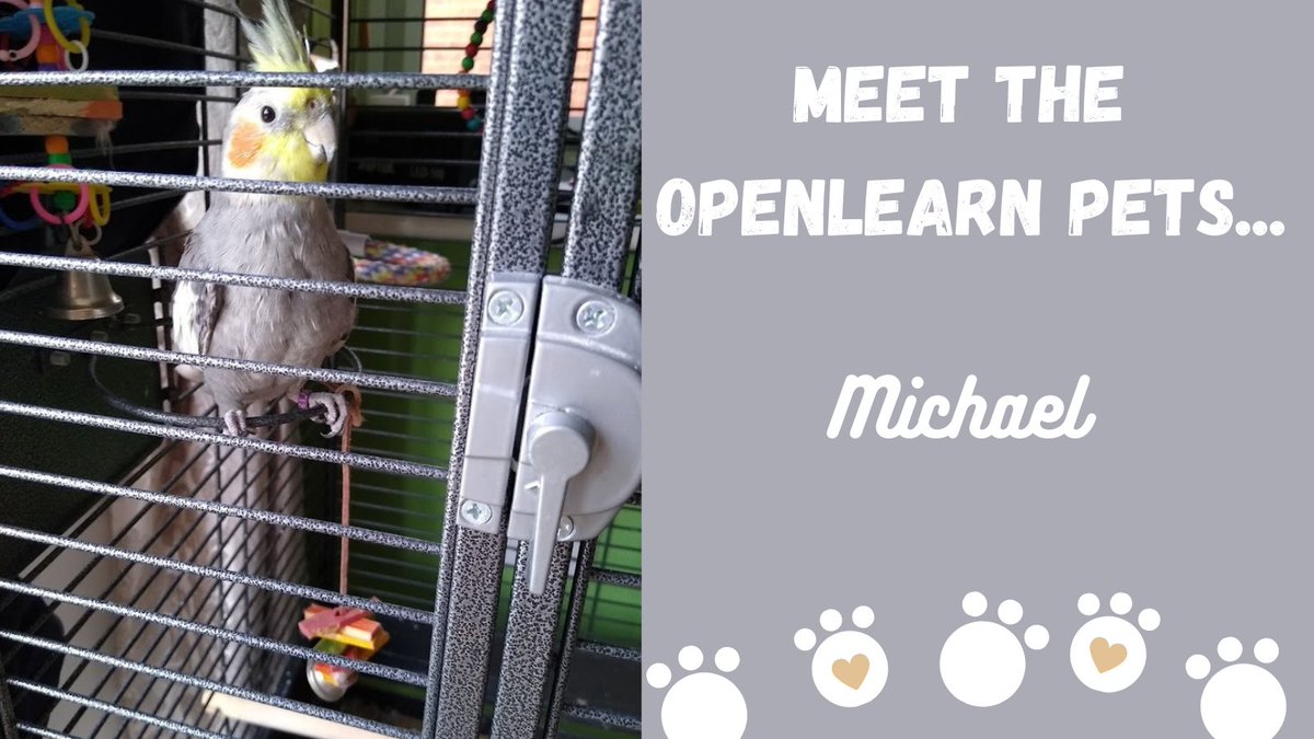 OUFreeLearning's tweet photo. Meet Michael, he's our Assistant Producer Sudesh's cockatiel who loves to sing π€
He's into Faithless but likes Classic FM before bedtime. We think he'd enjoy our FREE course 'Discovering #music through listening'.
https://t.co/Vxx3pQuzNL
#NationalPetDay #MeetTheOpenLearnPets https://t.co/XEntQZPZwv