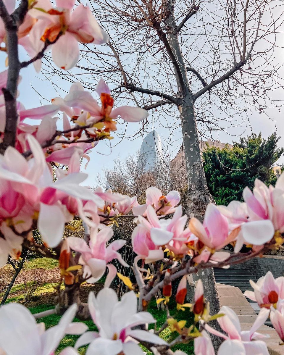 DAzerbaiyan's tweet photo. https://t.co/9p0cFRhuo9