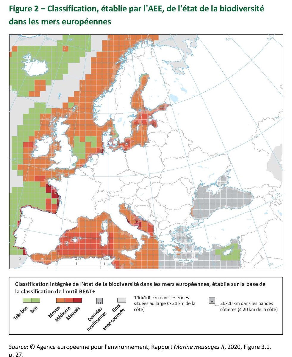 IPBES en français (@ipbesfr) on Twitter photo 🌊🦑🐠🦐🦀🐟🦞🌊
La perte de la biodiversité marine dans les mers d'Europe n'a pas été enrayée.
Les Hommes et nos sociétés dépendent de mers saines et d'une vie marine florissante pour notre bien-être et pour notre existence.
📷<a href="/EUauditors/">European Court of Auditors</a> 🌊🦑🐠🦐🦀🐟🦞🌊
La perte de la biodiversité marine dans les mers d'Europe n'a pas été enrayée.
Les Hommes et nos sociétés dépendent de mers saines et d'une vie marine florissante pour notre bien-être et pour notre existence.
📷<a href="/EUauditors/">European Court of Auditors</a>