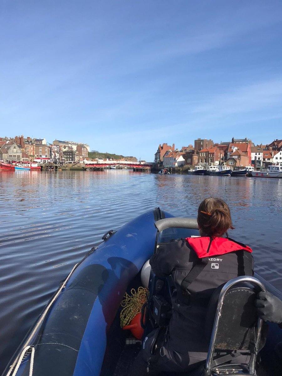 Dearne Valley Divers tweet media