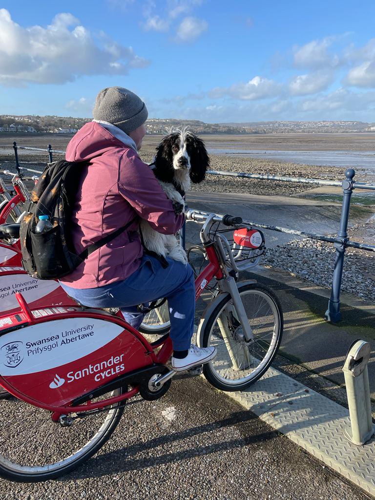 jadejojas's tweet image. Happy National pet day!! Ivy loves posing for Forthglade and going on adventures with her momma’s 🐶💕#NationalPetDay #dogsoftwitter #forthglade #dogmom