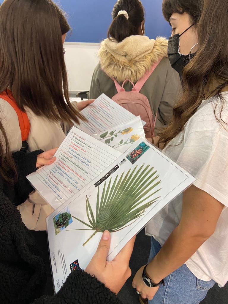crai_ub's tweet photo. 📢 Participació del Centre de Documentació de Biodiversitat Vegetal #CeDocBiV (@HerbariBCN) del #CRAIUB al @saloensenyament 2022, on va realitzar un taller per reconèixer les plantes
ℹ️ 🔗https://t.co/AL2ffIIgHp
🌱 Herbari virtual: 🔗https://t.co/W28zh235pj
📷 @fundaciorecerca https://t.co/OBzTMut3BA
