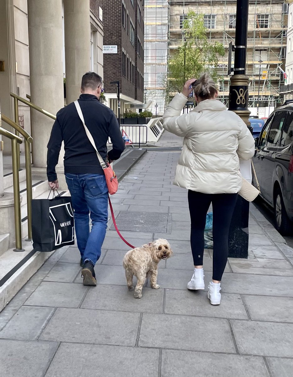 TheHoneyTails's tweet photo. Yesterday I got to go on a #PupAdventure - shopping! I had to wait outside A LOT of shops but every time I did, people came and stroked me and called me cute. I was ok with that ♥️ 
#HoneyHovering 
#SunshineyShop https://t.co/H0cNahKvUJ