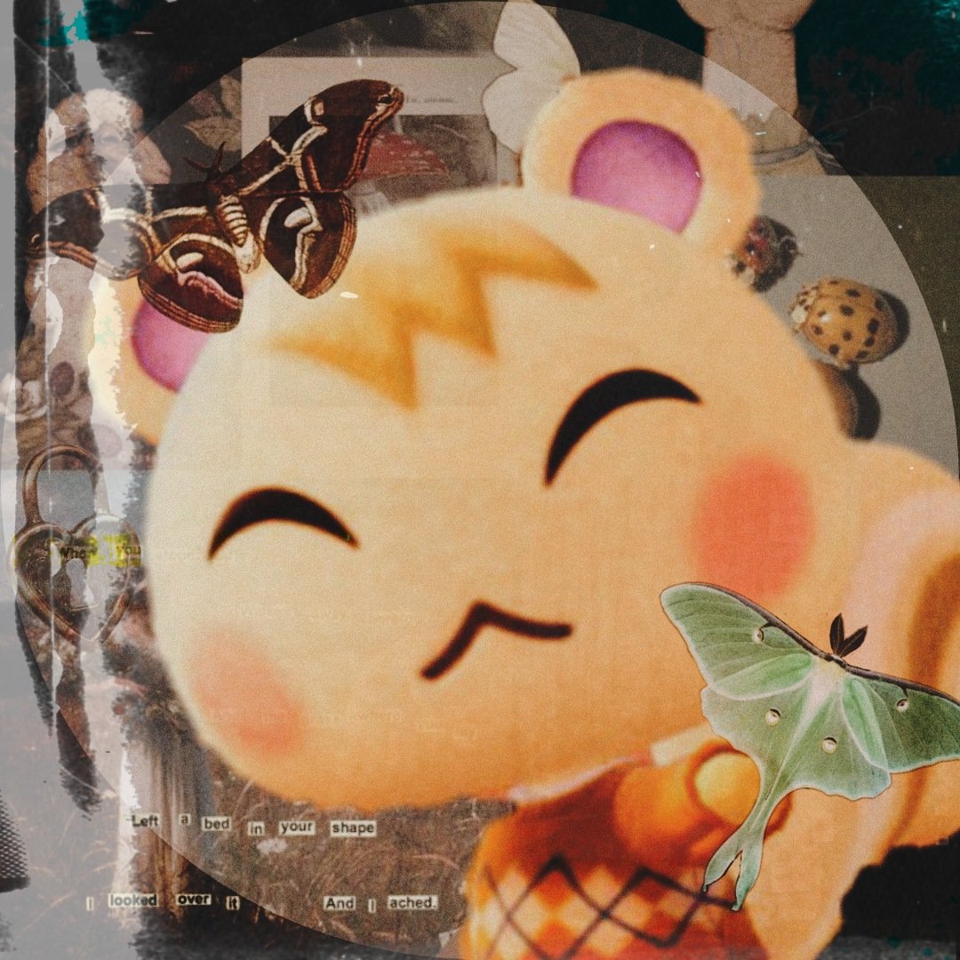 the_goblinkiing's tweet photo. #NewProfilePic #ACNHicon #ACNHmarshal #ACNHedit feel free 2 use 🖤🌲🍄 https://t.co/JRMMaMe4BH