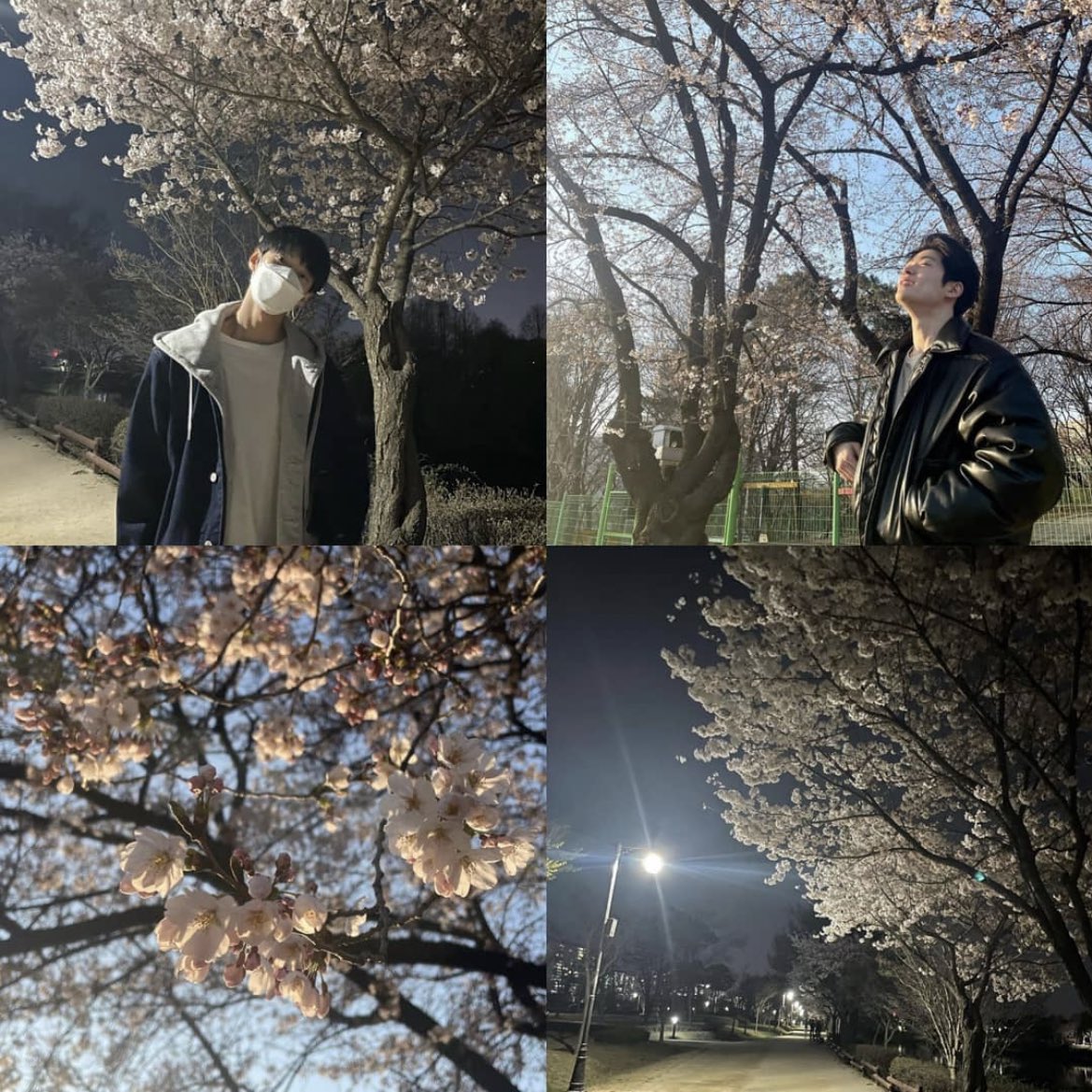 jaedomylife's tweet photo. มนต์รักซากุระ 🌸🥺🌸 #JaeDo https://t.co/7TDlq3dnM4