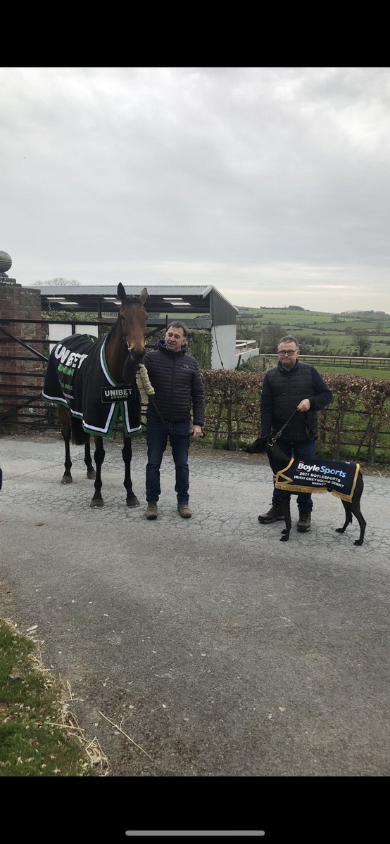 vinnygrennan's tweet image. When Honeysuckle the queen of horse racing meets Susie Sapphire the greyhound racing queen @IanFortune @dodonoghue_race @OStrumble @dawnqirl @HRIRacing 
@rachaelblackmor @BoyleSportsSK @bombermccormack @BoylesportsDamo @BoyleSports @BoylesportsKHen @BoyleSportsLB @BoylesportsAR