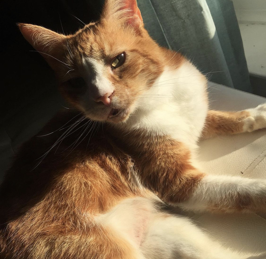 Studious Digital Education tweet media