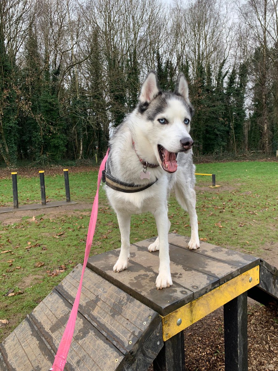 Studious Digital Education tweet media