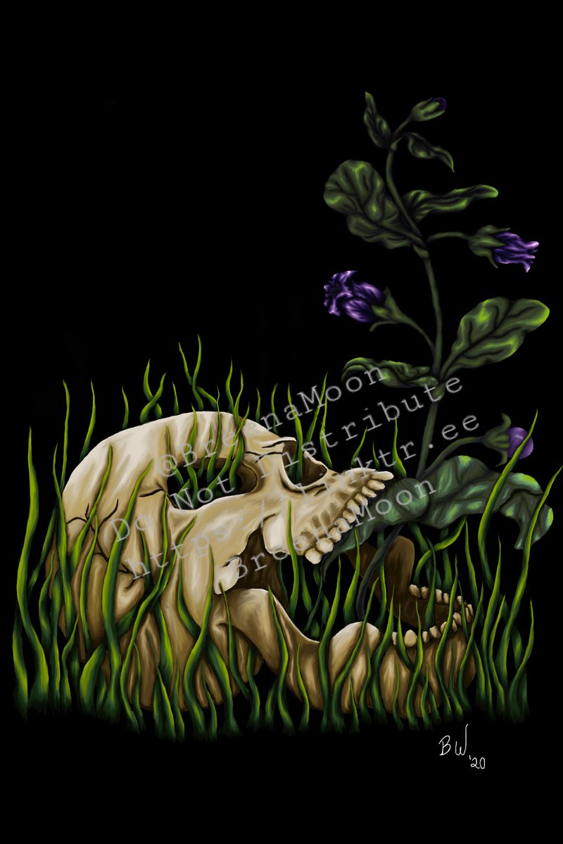BreenaMoon's tweet photo. @ArtOfZee Thanks for the share and the invite!! 
I'm Breena, a Gothic style illustrator with a love for details and oddities! Wanna support me? Check out more art and my shops here!! https://t.co/4i3r09oBes https://t.co/GCgN0smI5e
