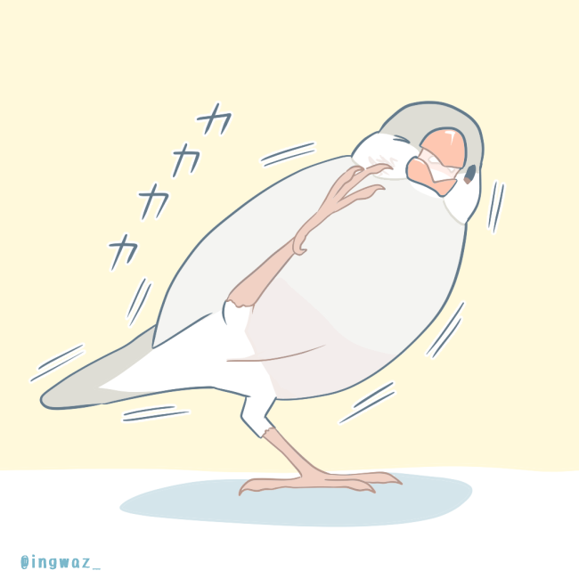 「かゆゆ
#Buncho #javasparrow #文鳥 」|文/ 新木南生のイラスト