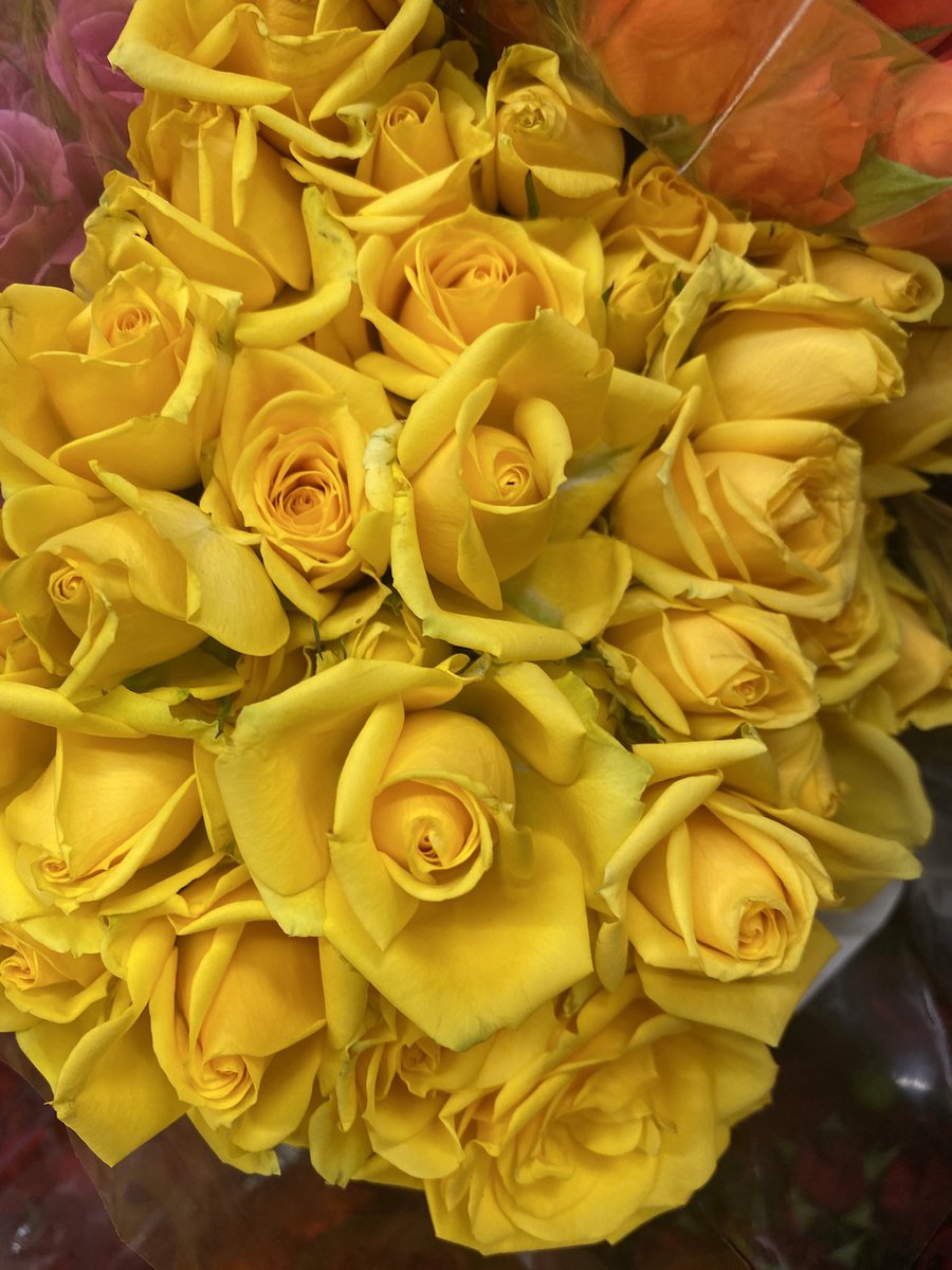 iamcesa's tweet photo. I wish you bluebirds in the spring
To give your heart a song to sing
And then a kiss
But more than this
I wish you love
And in July a lemonade
To cool you in some leafy glade
I wish you health, and more than wealth
I wish you love
A beautiful cover by @rachaelyamagata https://t.co/Ttii3lmSZc