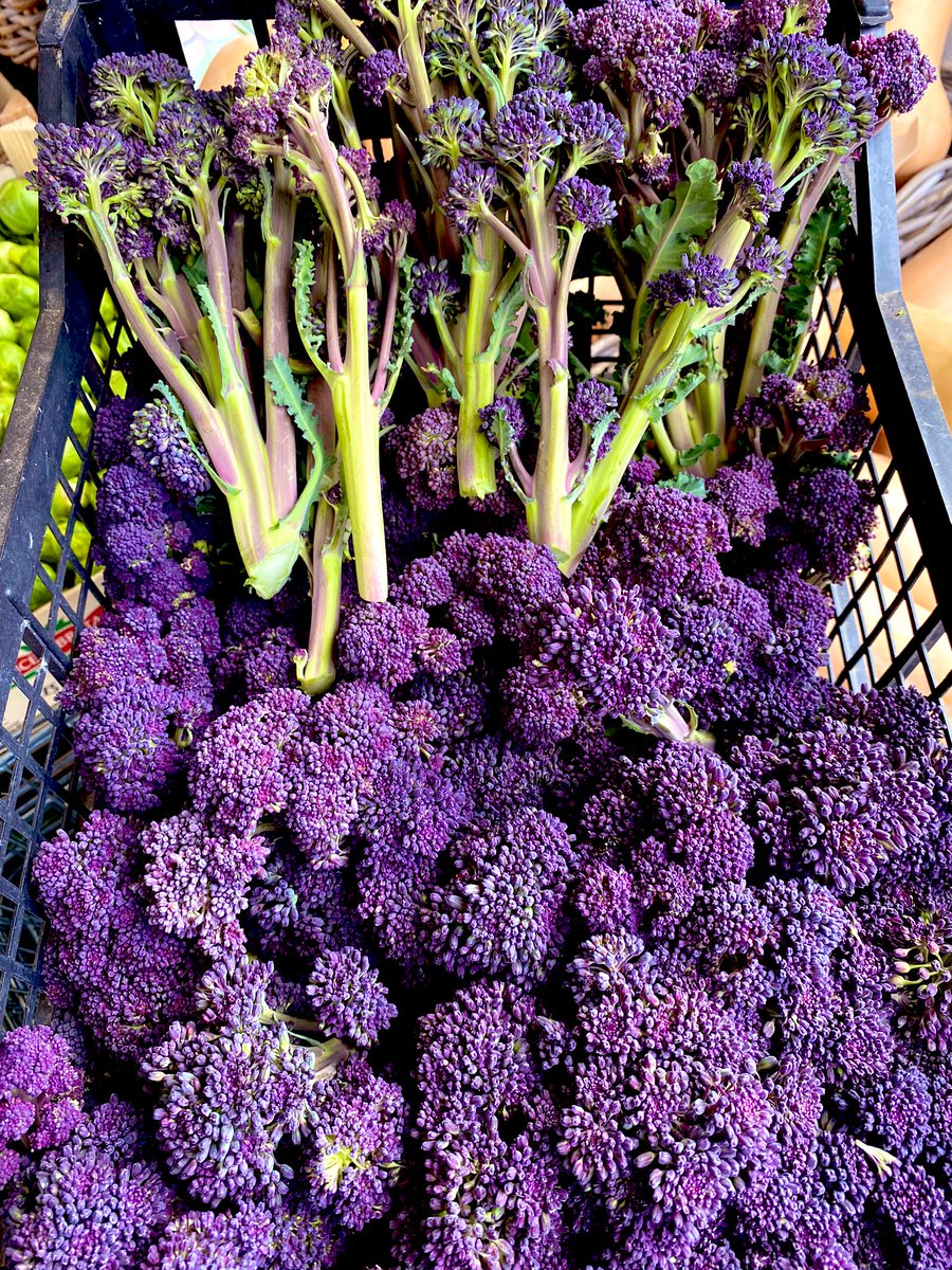 Tonys_N2's tweet photo. English Purple sprouting broccoli. Ideal for steaming, stir fry, sauté, boiled. Low carbon footprint 🇬🇧#tonysfinchley #tonysn2 #eastfinchley #purplesproutingbroccoli #purplebroccoli #englishbroccoli https://t.co/dwgcsbftrE