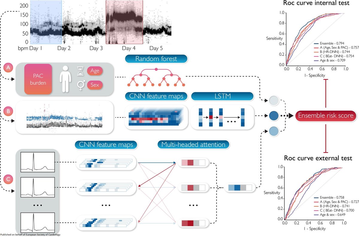 European Society of Cardiology Journals (@esc_journals) on Twitter photo Short term prediction of #afib from ambulatory monitoring ECG using a deep neural network academic.oup.com/ehjdh/advance-…
#EHJDigital #MachineLearning <a href="/BruiningNico/">Nico Bruining EiC EHJ Digital Health</a> <a href="/rafavidalperez/">rafavidalperez</a> <a href="/pauldub67/">Paul Cummins</a> <a href="/EHRAPresident/">EHRAPresident</a> Short term prediction of #afib from ambulatory monitoring ECG using a deep neural network academic.oup.com/ehjdh/advance-…
#EHJDigital #MachineLearning <a href="/BruiningNico/">Nico Bruining EiC EHJ Digital Health</a> <a href="/rafavidalperez/">rafavidalperez</a> <a href="/pauldub67/">Paul Cummins</a> <a href="/EHRAPresident/">EHRAPresident</a>