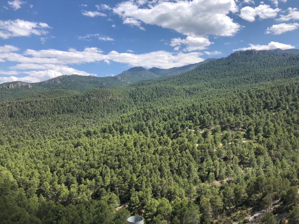 zequiband's tweet photo. Feliz semana. No sabéis la experiencia tan maravillosa que fue grabar en @ecolosgorros🌲

Un sitio idílico en plena sierra de Los Álamos de Moratalla. Y en la mejor compañía 🎶🎸 

#ZEQUINSTRUSOS el 3 de junio en el Teatro Villa de Molina: https://t.co/LkFwNlMbdt https://t.co/go4YUkomM4