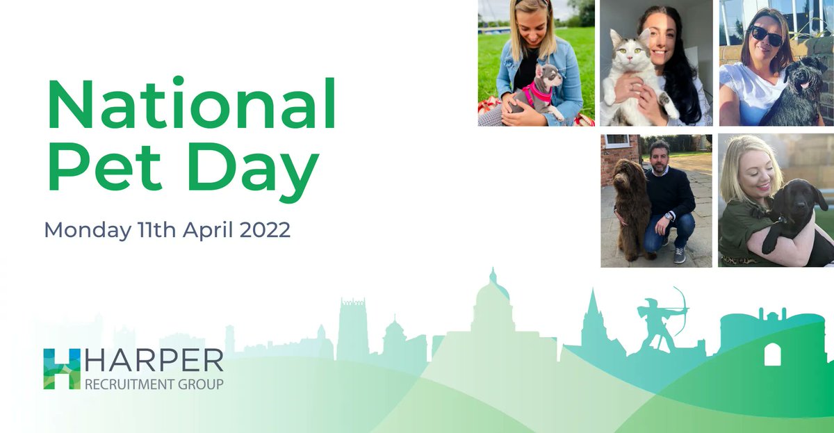 Harper Recruitment Group tweet media