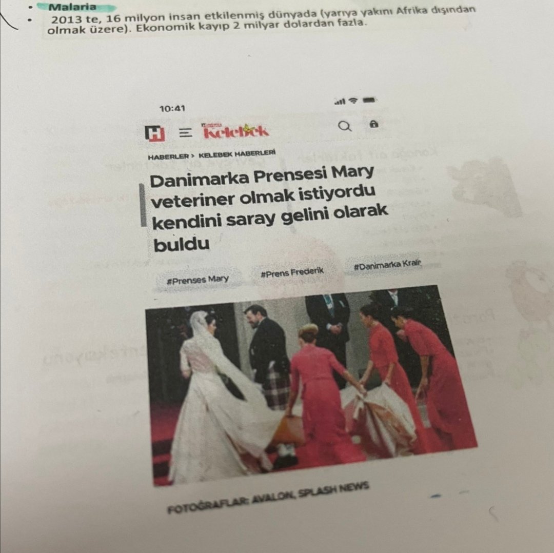 Prenses olmak istiyorken veteriner hekim oldum....