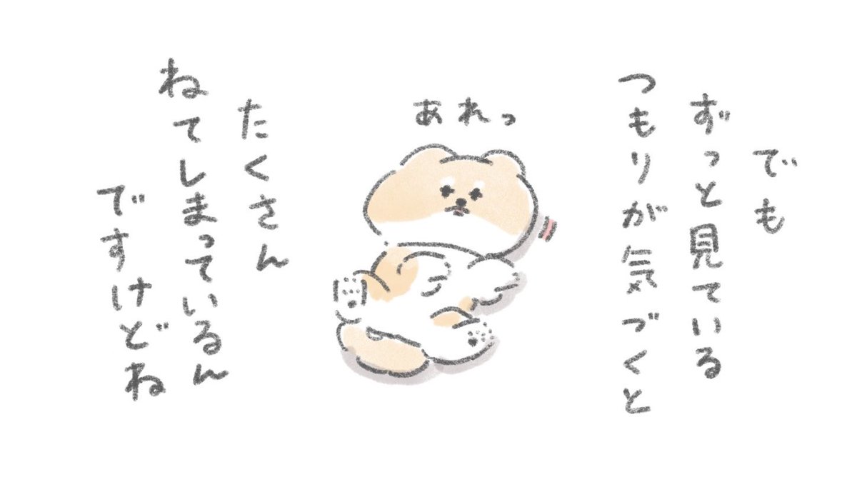 おいぬは見ている
#こんにちはいぬです 