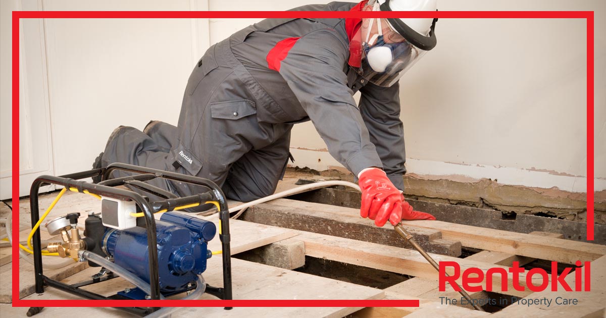 RKLPropcare's tweet image. If a valuation survey has identified any timber &amp;amp; #DampProblems, or if your lender or mortgage provider feels the property is of an age when timber or #Damp defects could easily exist, Rentokil Property Care can help to correct these problems.