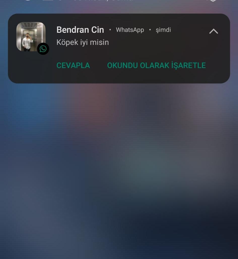 Arkadasım halimi hatrımı soruyordur 🌸