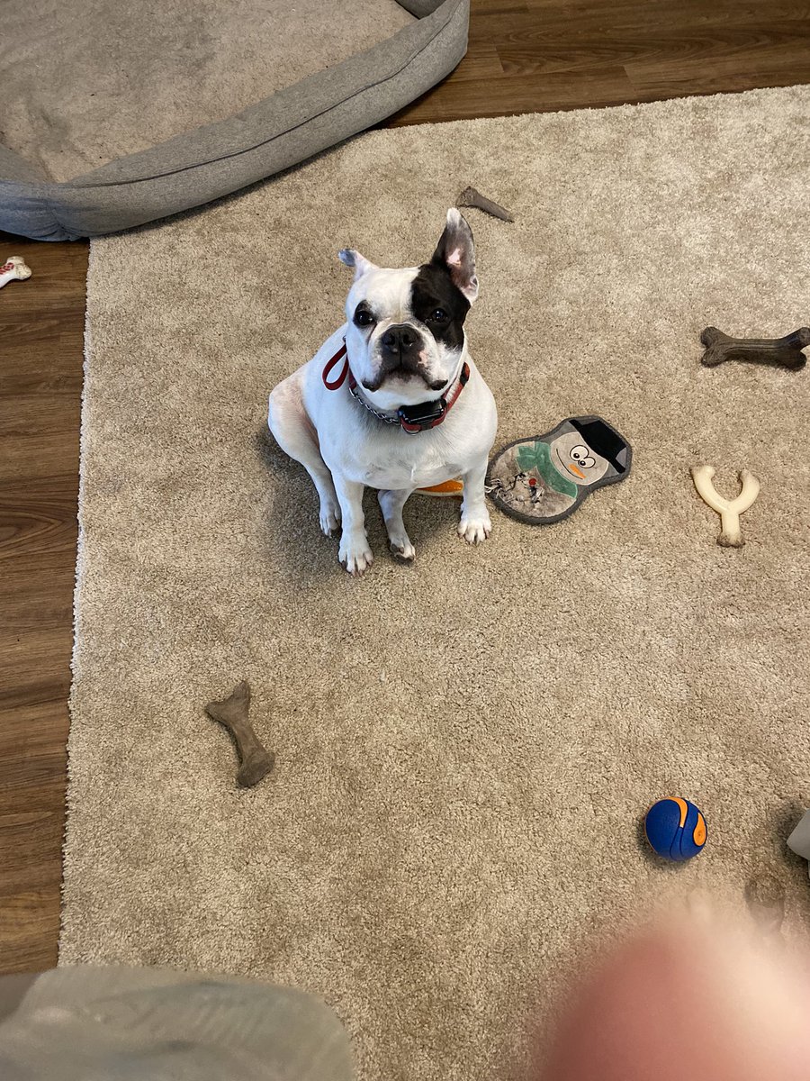 Randy swope tweet media