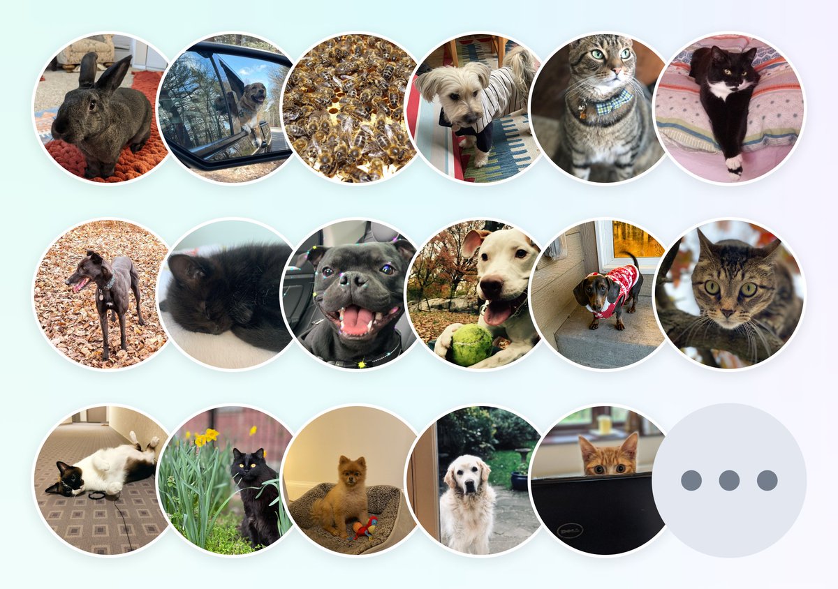 element_hq's tweet photo. 🐾 Happy #NationalPetDay!

Here at Element we welcome everyone, including all furry friends 🐶🐱🐰

Being remote first, it means we get to spend more time with our pawsome pals &amp; give them the love and attention they deserve ❤️

Speaking of which, here’s a roundup of the gang 👇 https://t.co/i94EqcsSoz