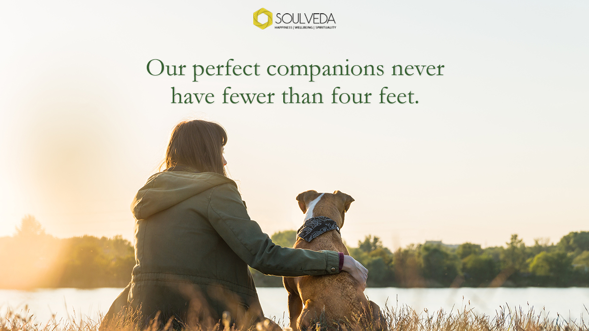 soulveda's tweet photo. They don’t speak like us yet they can teach us the language of unconditional love.
#soulveda #pets #unconditionallove #love #petparents #perfectcompanion #fourfeet #paws https://t.co/fRcwubuMP3