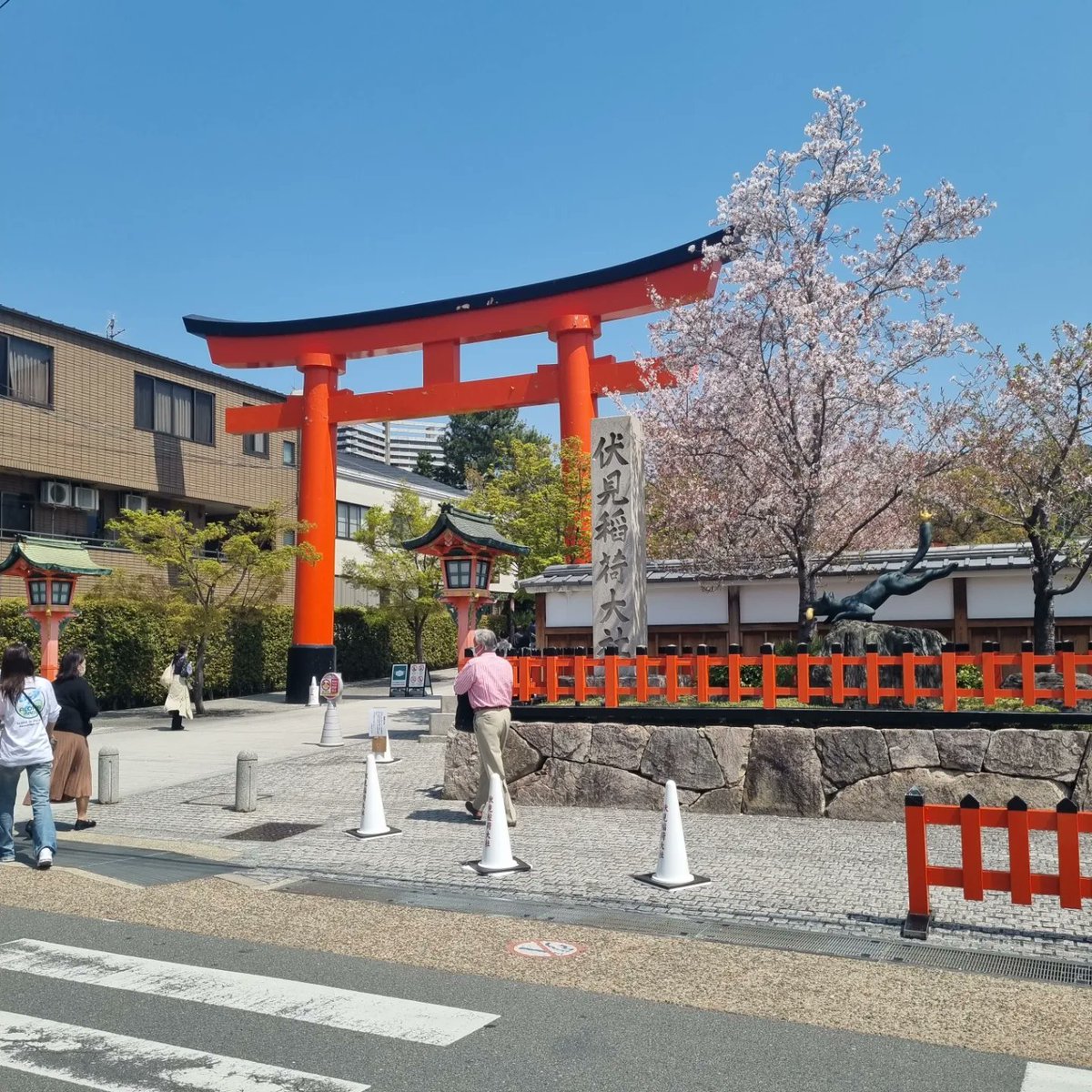 MissJacobsen1's tweet photo. A 27 degree Kyoto. https://t.co/d9lPQL0Ap5