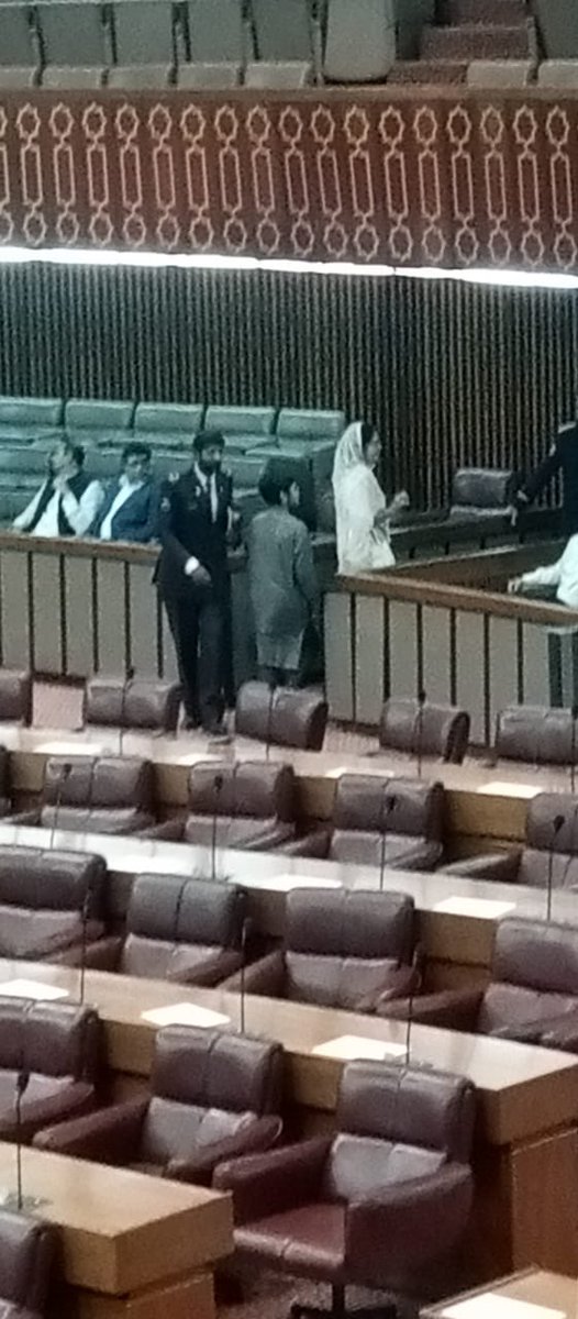 ایک خاتون بچے کے ہمراہ ایوان میں پہنچ گی۔سیکورٹی عملے نے اسے باہر بھجوا دیا