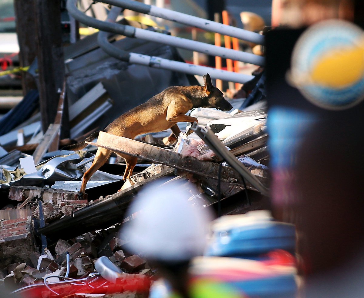 BobKarpDR's tweet photo. Three years ago: Scene from the morning after in #Durham as search & rescue dogs look for victims in the aftermath of an explosion on Durham's 150th anniversary that killed one and injured 25, damaging 15 buildings. #DurhamExplosion #durhamstrong https://t.co/duCmHQmyh0
