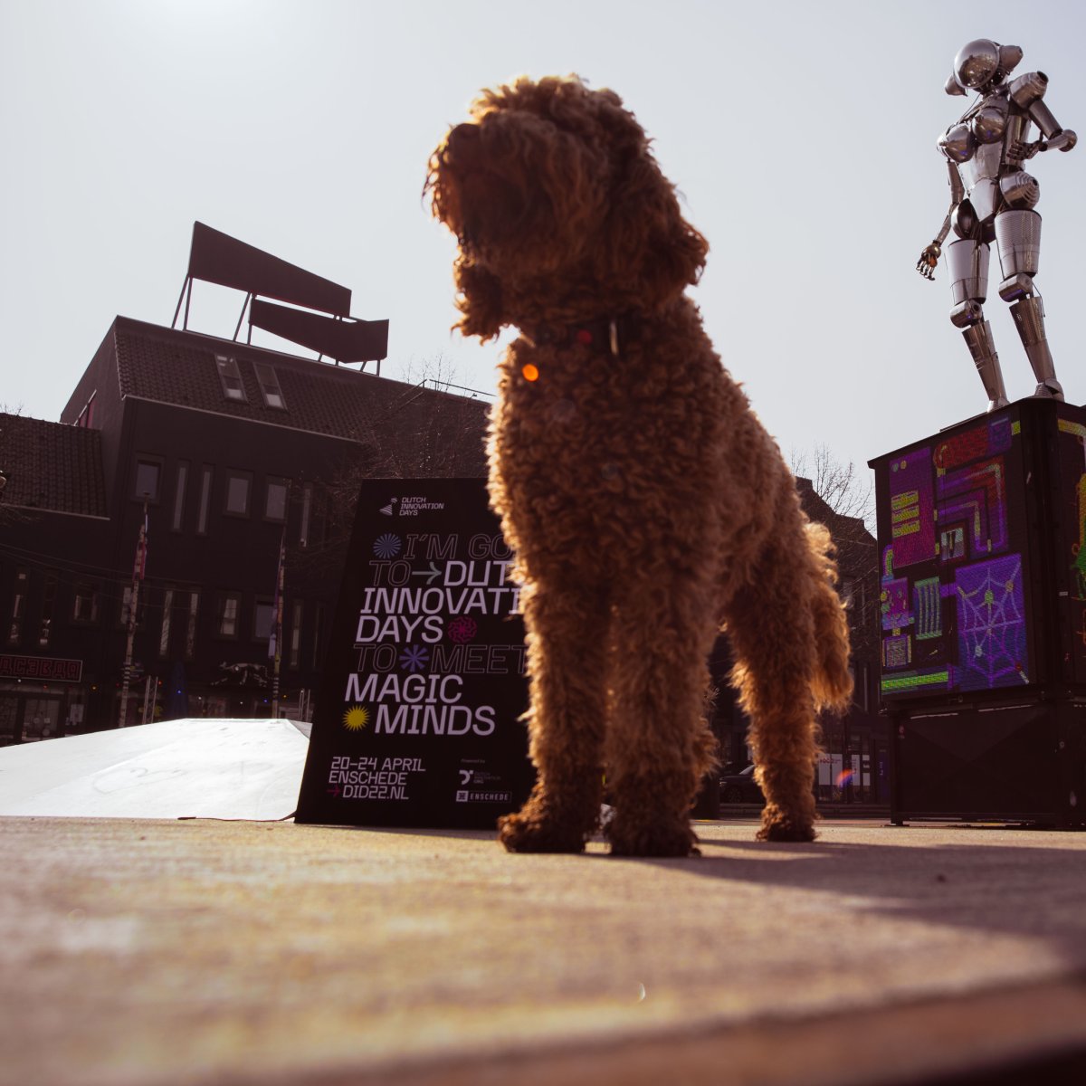 𝗪𝗮𝗮𝗿 𝗗𝗜𝗗𝟮𝟮 𝘇𝗶𝗰𝗵 𝗮𝗳𝘀𝗽𝗲𝗲𝗹𝘁

In de pauzes van ons programma kan jij heerlijk vertoeven in een van de aangesloten <a href="/BijRozendaal/">Bij Rozendaal</a>, Bardot, Novi en de Beiaard.

Komen wij jou hier in de pauze tegen?

#did22 #pauze #food #snack #festival #event