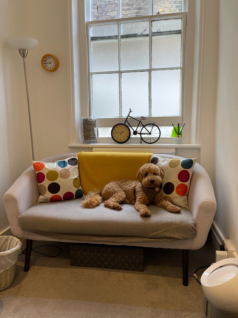 KenningtonOsteo's tweet photo. #NationalPetDay 🐶🐕

Today, we're shining a spotlight on all of our practitioner's furry friends.👋🏽

*thread👇🏼 https://t.co/dz7bwyReti