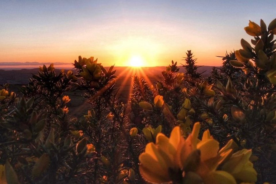 There is nothing quite like the sunrise at Dartmoor ☀️

Photograph by @littleghostphotographydartmoor