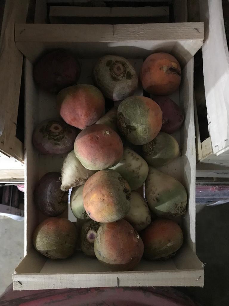 World Fresh Produce (@worldfresh1) on Twitter photo 