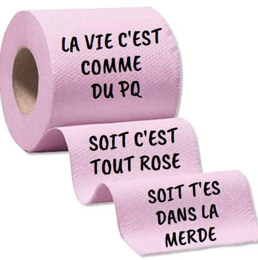 Monkybizness931's tweet photo. Ca devait être rose mais les cons en ont décidé autrement pour le #2tours #presidentielles2022 #Election2022 https://t.co/1CbCLkjX83
