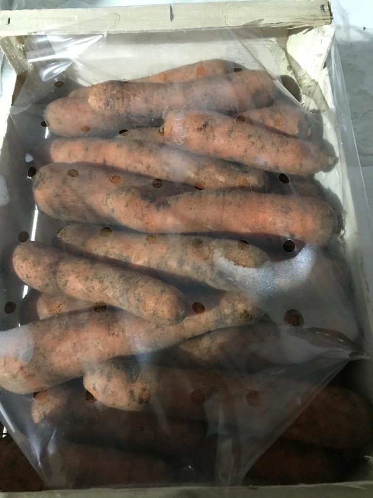 World Fresh Produce (@worldfresh1) on Twitter photo 