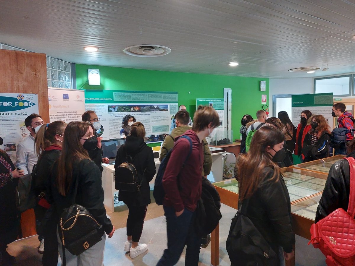 High school students discovered the <a href="/fruitflynet2/">FruitFlyNet-ii</a> @ENICBCMed  e-traps and their contribution to the sustainable growth of the planet. In a special event organized by the <a href="/Unimolise/">Unimol</a>, Italy, on the occasion of World Health Day 2022 celebrated on 7th of April.