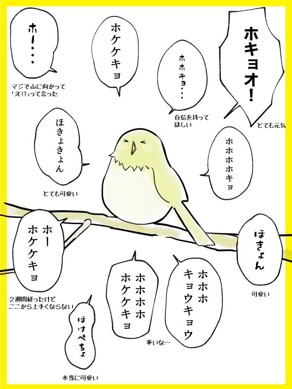 今年のウグイス鳴き声練習まとめ 