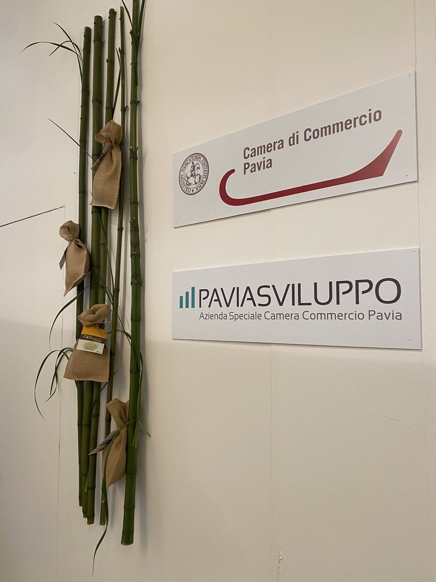 PAVIASVILUPPO's tweet photo. Live from @VinitalyTasting Padiglione Lombardia #oltrepopavese #wine @COltrepo @clubbuttafuoco https://t.co/u0hRgC1qho